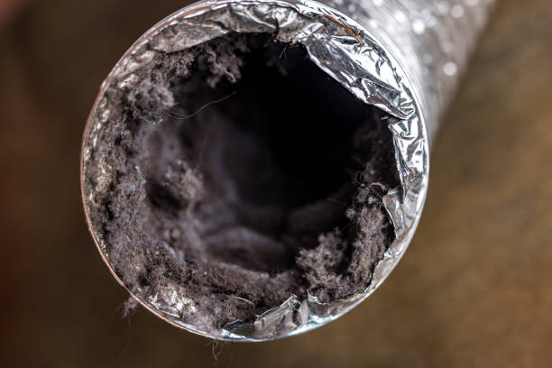 Best Mold and Mildew Removal from Ducts in Wellington, UT